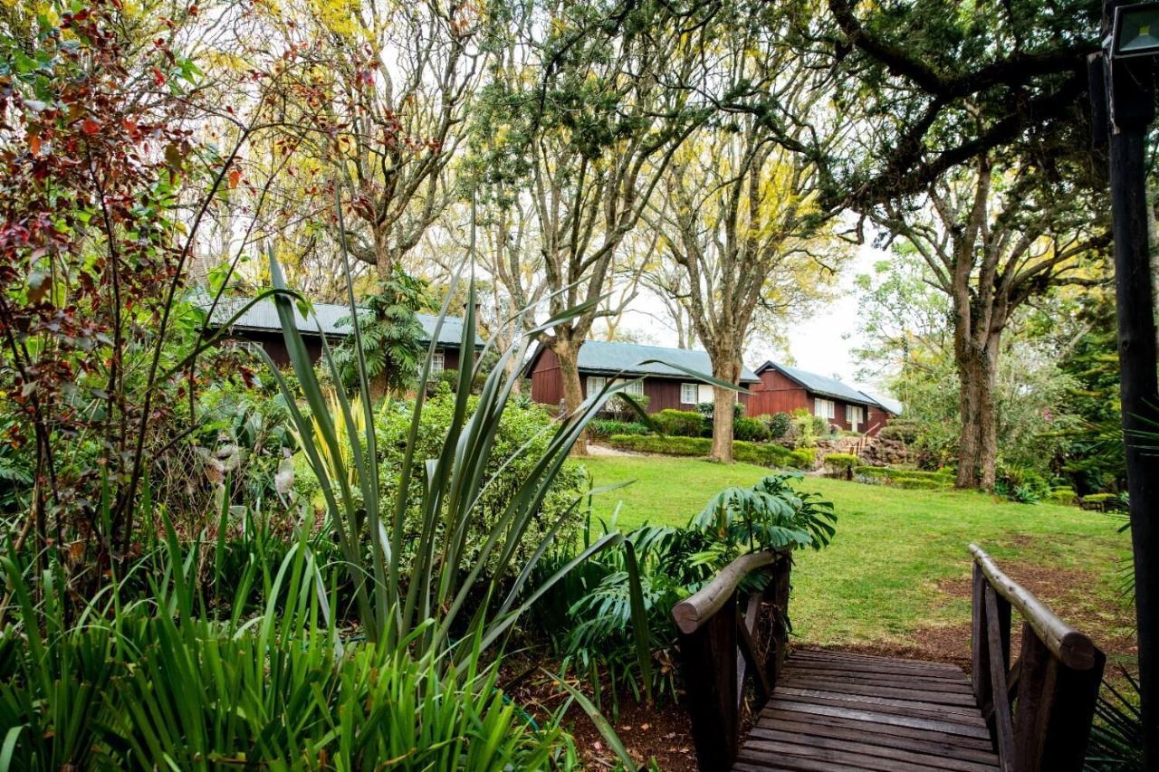 Naro Moru River Lodge Luaran gambar