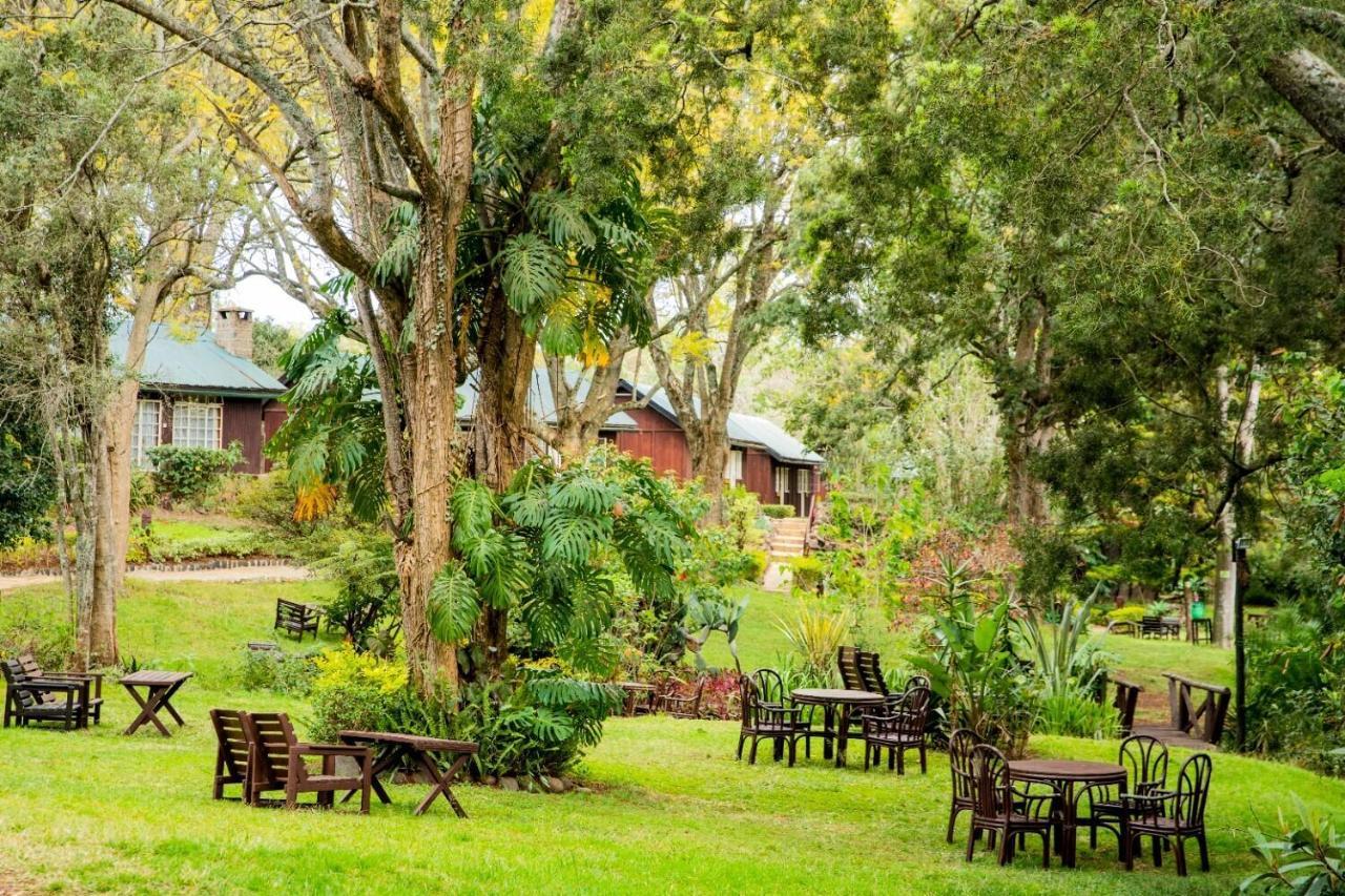 Naro Moru River Lodge Luaran gambar