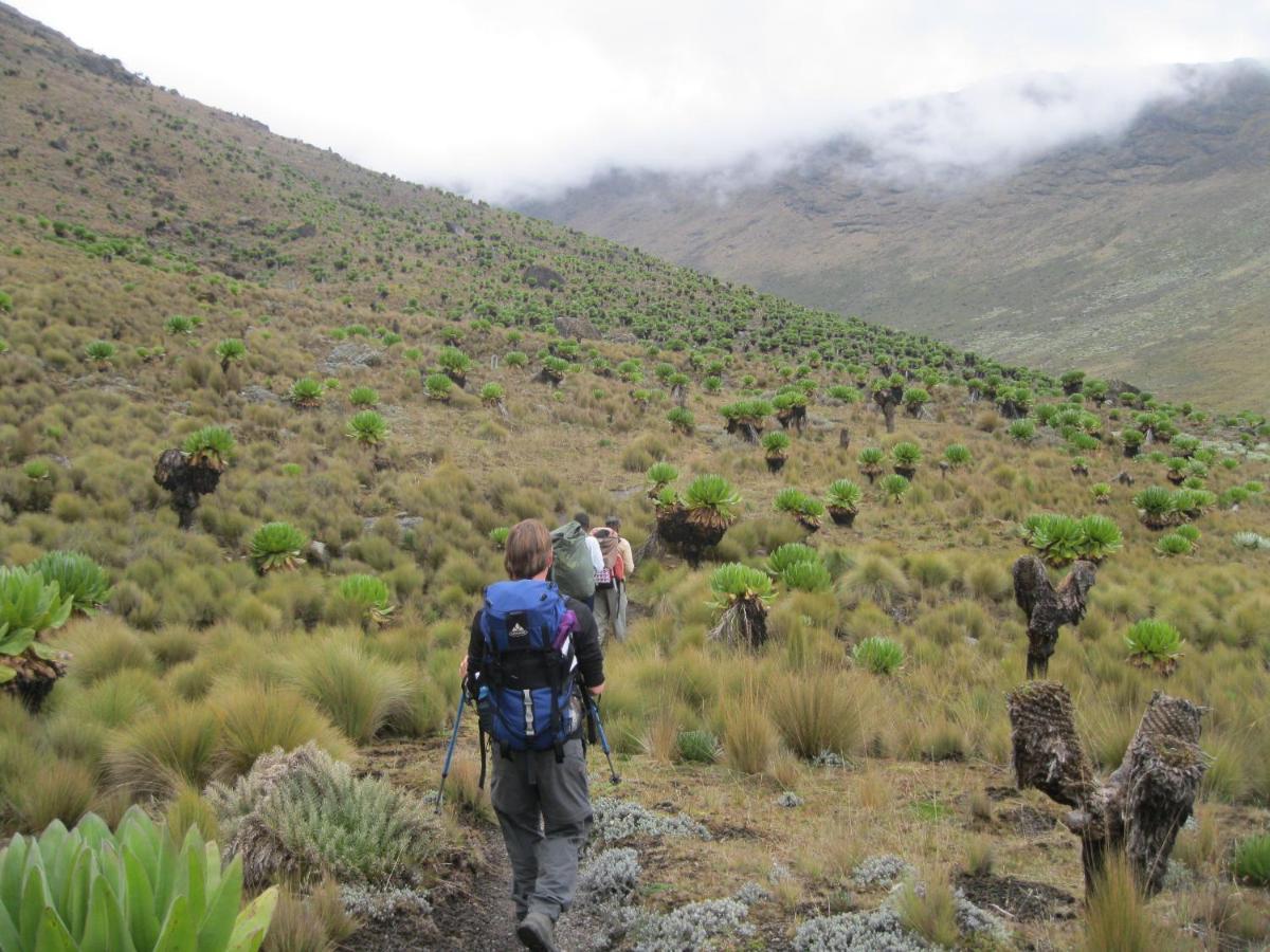 Naro Moru River Lodge Luaran gambar