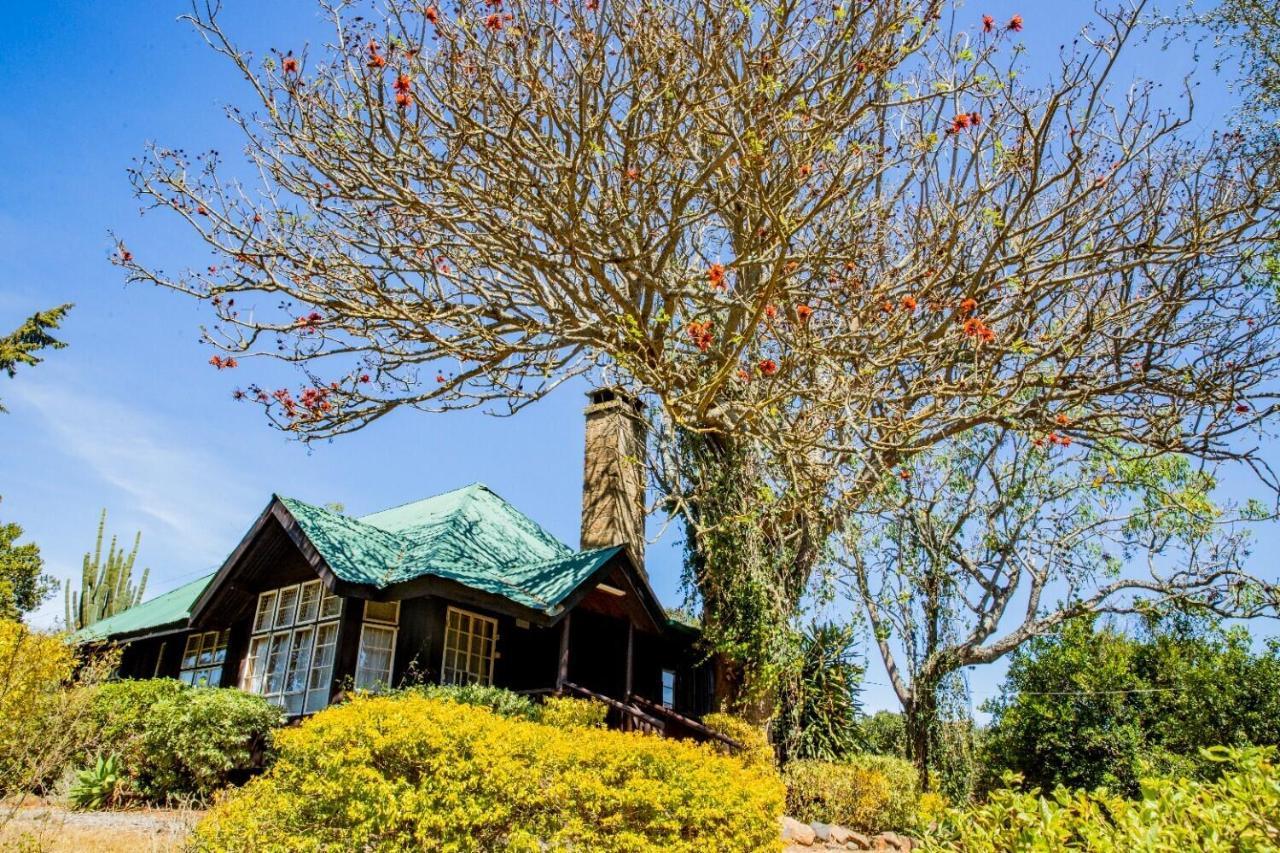Naro Moru River Lodge Luaran gambar