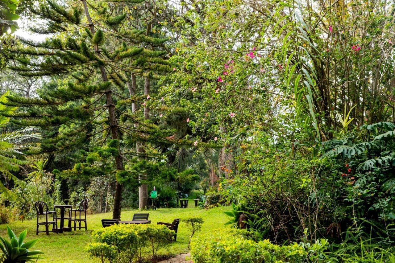 Naro Moru River Lodge Luaran gambar