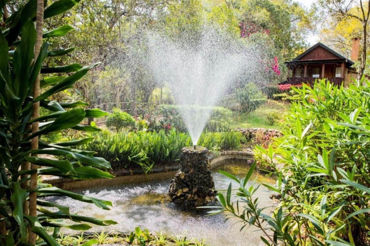 Naro Moru River Lodge Luaran gambar
