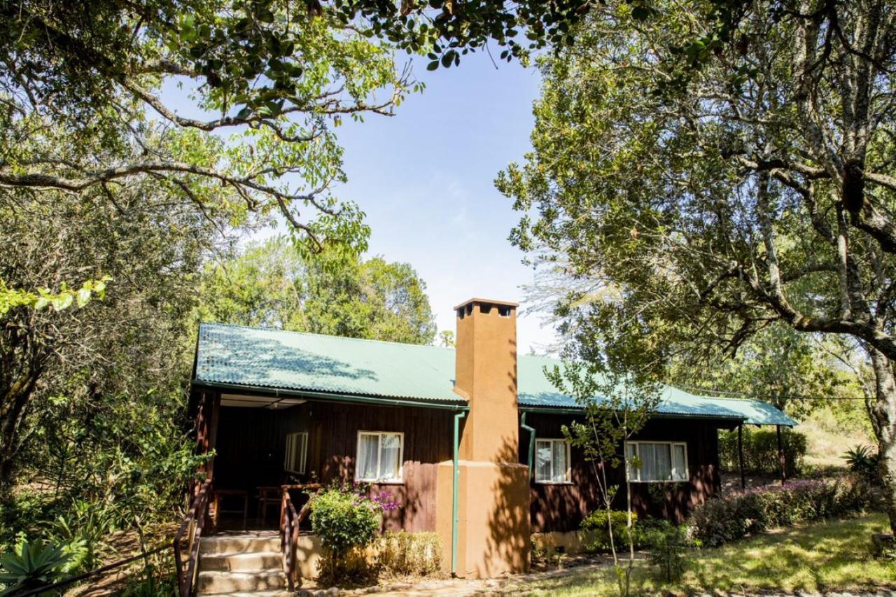 Naro Moru River Lodge Luaran gambar