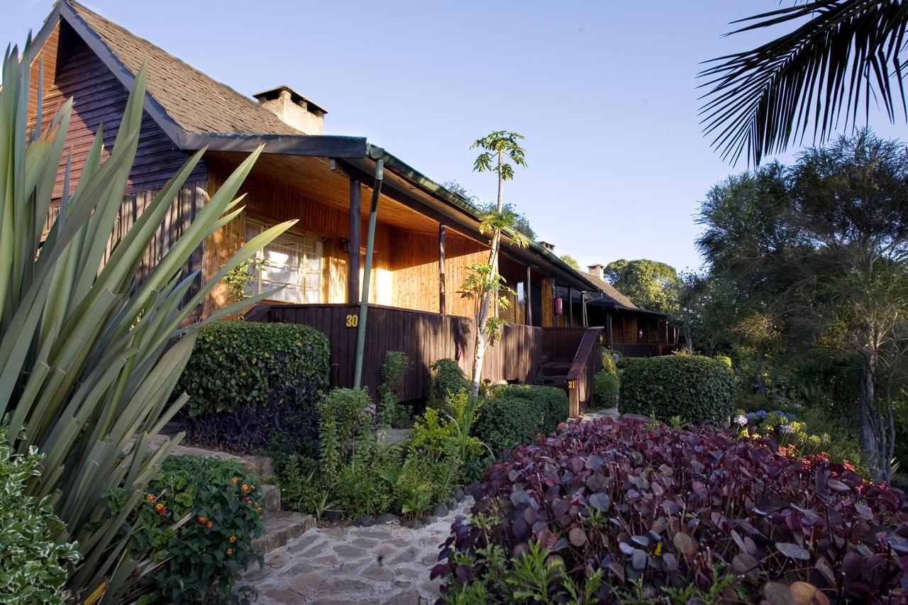 Naro Moru River Lodge Bilik gambar