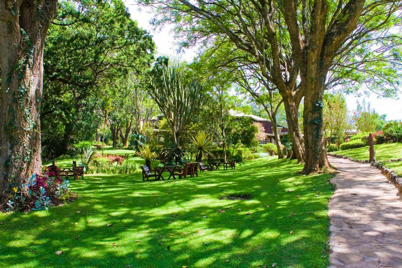 Naro Moru River Lodge Luaran gambar